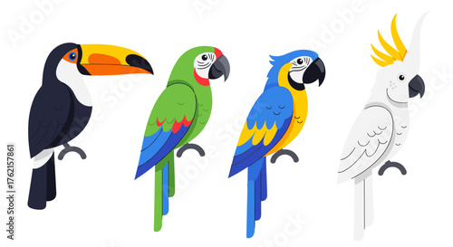 Vibrant tropical birds perched together: Toucan, macaw, cockatoo, parrot collection