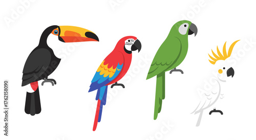 Vibrant tropical birds: toucan, macaw, parrot, and cockatoo, perfect for design needs