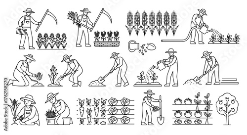 Farmers at work, cultivating and harvesting crops for a bountiful agricultural harvest