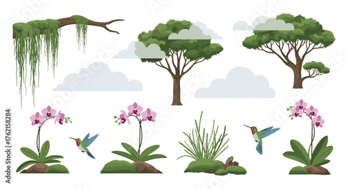 Vibrant jungle scene with orchids, hummingbirds, trees, and lush foliage for design