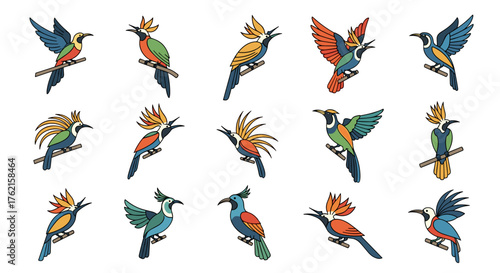 Vibrant birds perched and soaring, perfect for adding a touch of nature's beauty