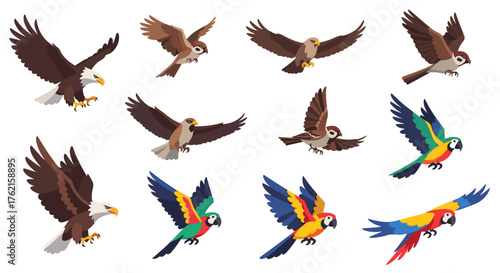 Majestic eagles, agile falcons, and vibrant parrots soar gracefully in dynamic flight collection.