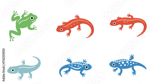 Colorful amphibian collection featuring frog and newt illustrations, biology, nature, and life