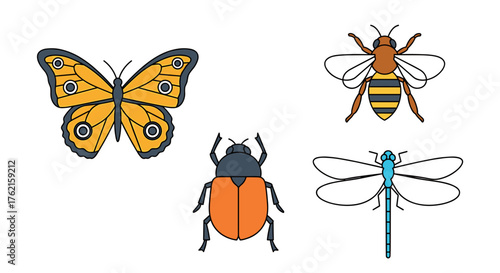 Vibrant insects collection butterfly bee beetle dragonfly charming nature elements