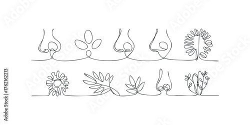 Continuous line drawings of human noses and botanical forms