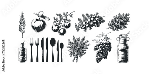 Farm Fresh Produce and Utensils Sketch Collection