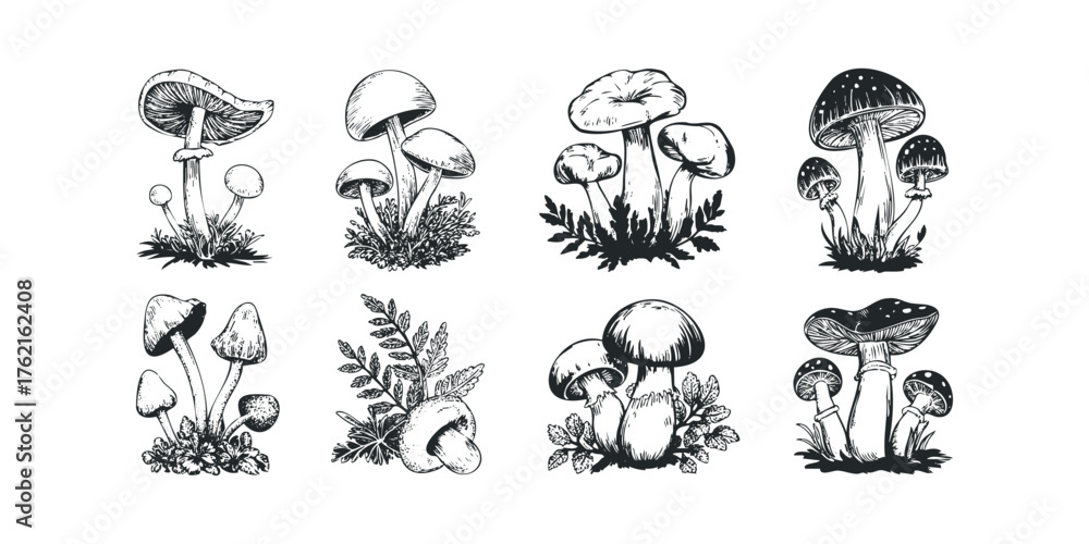Fototapeta premium Set of various hand drawn mushrooms with foliage