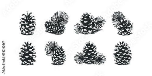 Collection of Pine Cones with Needles Graphics