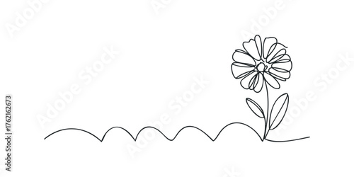 Single Line Drawing of a Daisy Flower on White