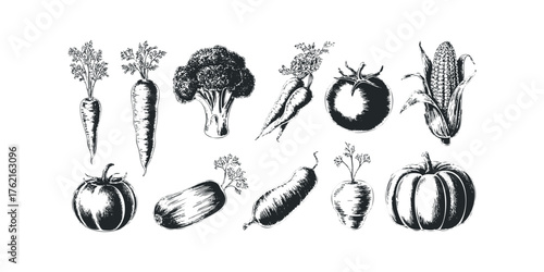 Collection of Hand Drawn Vegetables for Harvest Season