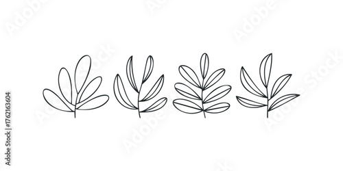 Four Stylized Leaf Sprigs Botanical Line Art