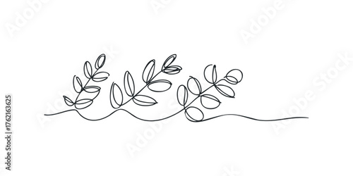 Minimalist Black Line Art Botanical Sprigs