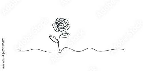 Minimalist rose single line drawing