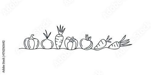 Hand drawn vegetables outline on white