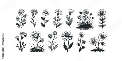 Hand Drawn Collection of Delicate Floral Elements