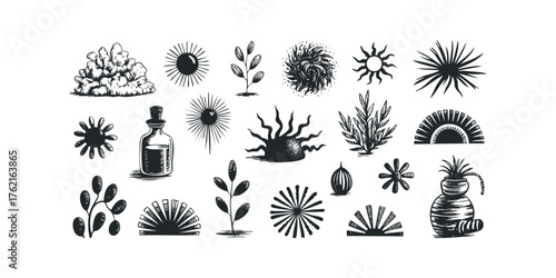 Collection of Hand Drawn Botanical and Celestial Elements