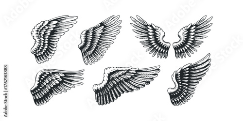 Collection of Six Stylized Wing Illustrations