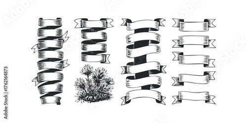 Collection of Hand Drawn Ribbon Shapes and Floral Accent
