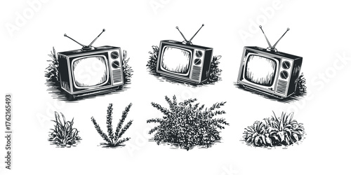 Vintage televisions displayed with various plants and foliage