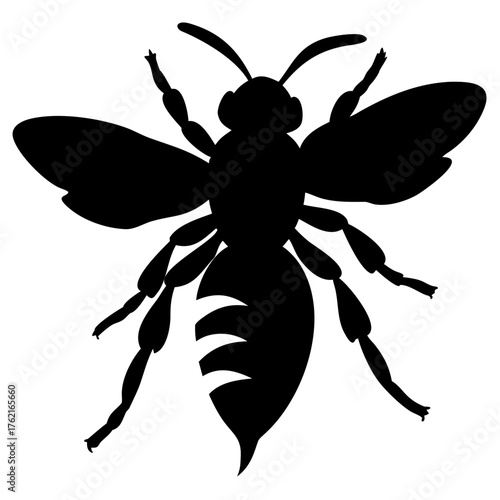 Wasp flying silhouette vector illustration