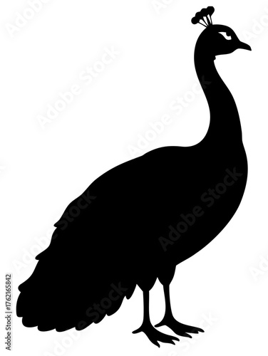 Peacock standing silhouette vector illustration