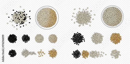 Overhead shot of assorted seed piles and bowls, showcasing variety and abundance.