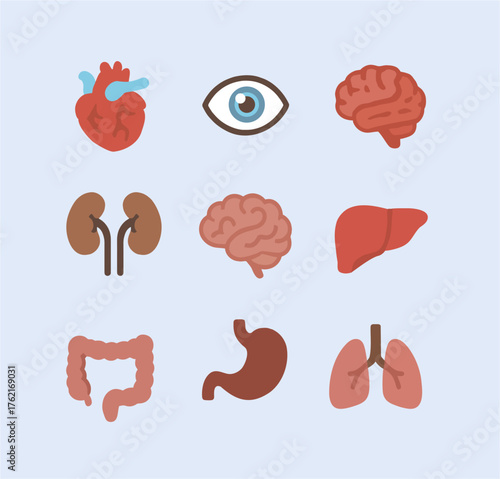 Human Internal Organs Icon Illustration Set
