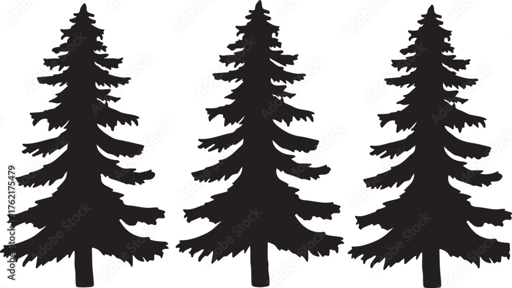 Fototapeta premium Three black silhouette pine trees with detailed branches on a white background evergreen nature