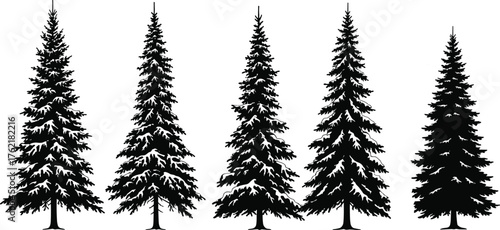 Pine tree silhouettes, conifer forest vector, evergreen nature illustration, decorative black artwork, abstract tree design, botanical drawing, stylized seasonal pine art