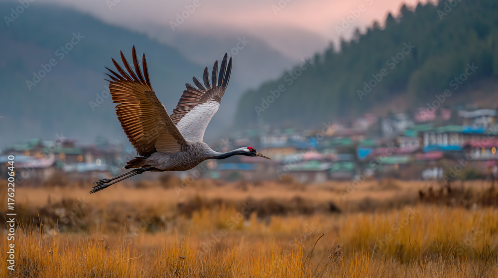 Fototapeta premium Golden fields, misty mountains, and traditional Bhutanese farmhouses below. Soft morning light illuminating the serene valley