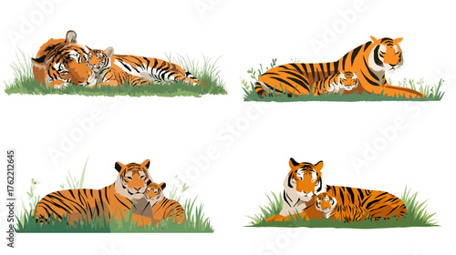 Realistic tiger family illustrations showing adult tigers and cubs resting in grass. Perfect for wildlife posters, zoo education materials, animal protection, and nature-themed designs.