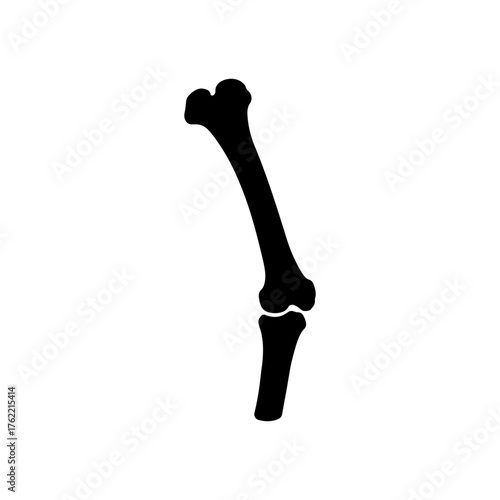 Human femur thigh bone silhouette vector flat illustration design.