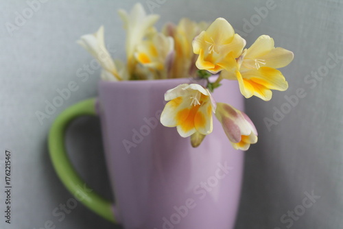 Fiori dentro tazza