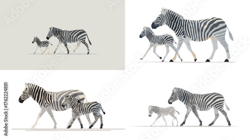 Minimal vector illustration of zebra and foal walking together in the savannah. Elegant wildlife artwork showing nature, unity, and gentle family movement.