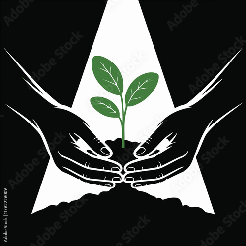 Hands nurturing a young plant under bright light symbolizing growth and new beginnings