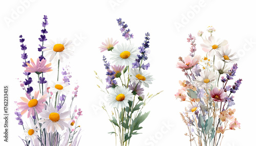 Watercolor set of wildflower bouquets. Bouquets with wild flowers chamomile, lavender, comfrey etc. summer floral elements for wedding designs. Meadow and meadow flowers with herbs.