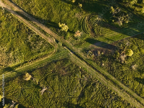 a clearing from above in summer