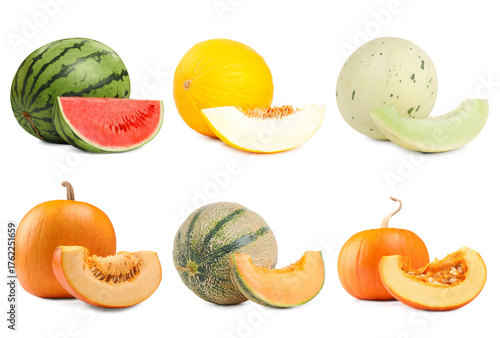 Fotografie Fresh pumpkins, watermelon and melons isolated on white, set