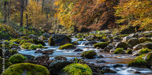 I fantastici colori dell’autunno nei boschi della meravigliosa Valle Pesio