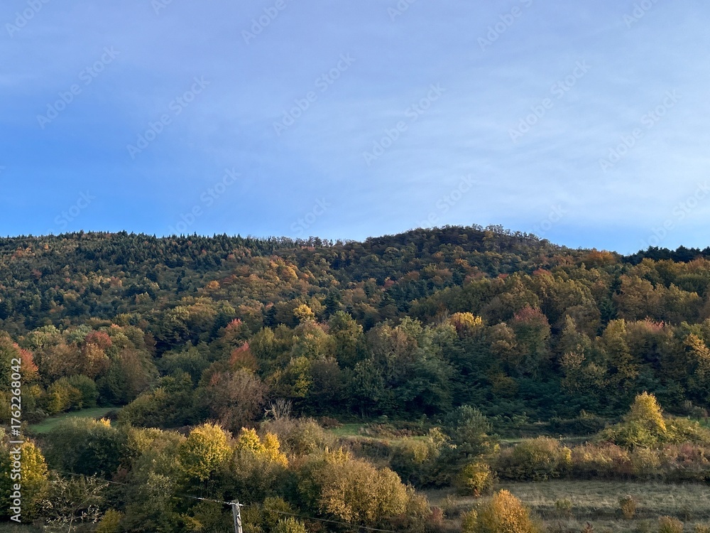 Fototapeta premium autumn in the mountains