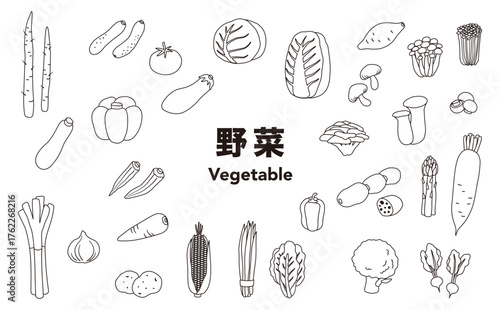 フラットイラスト：野菜セット(モノクロ)