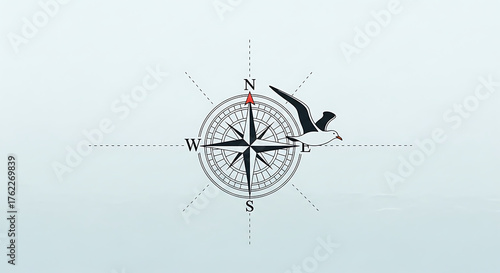 Nautical Compass Seagull Flying Minimalist Navigation Art