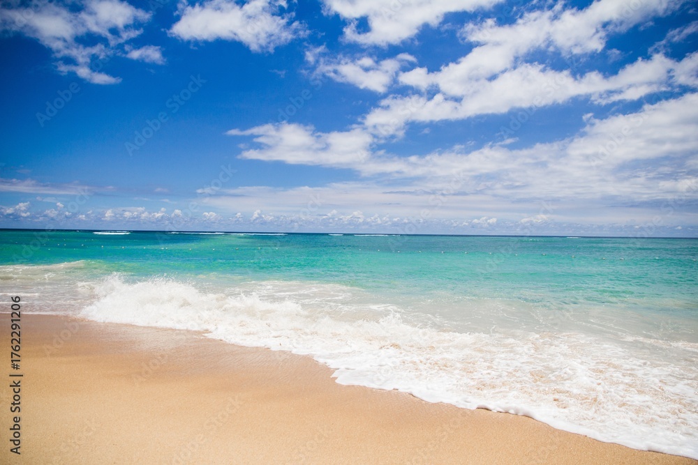 Obraz premium Sea Beach and Ocean Waves – Beautiful Coastal Landscape