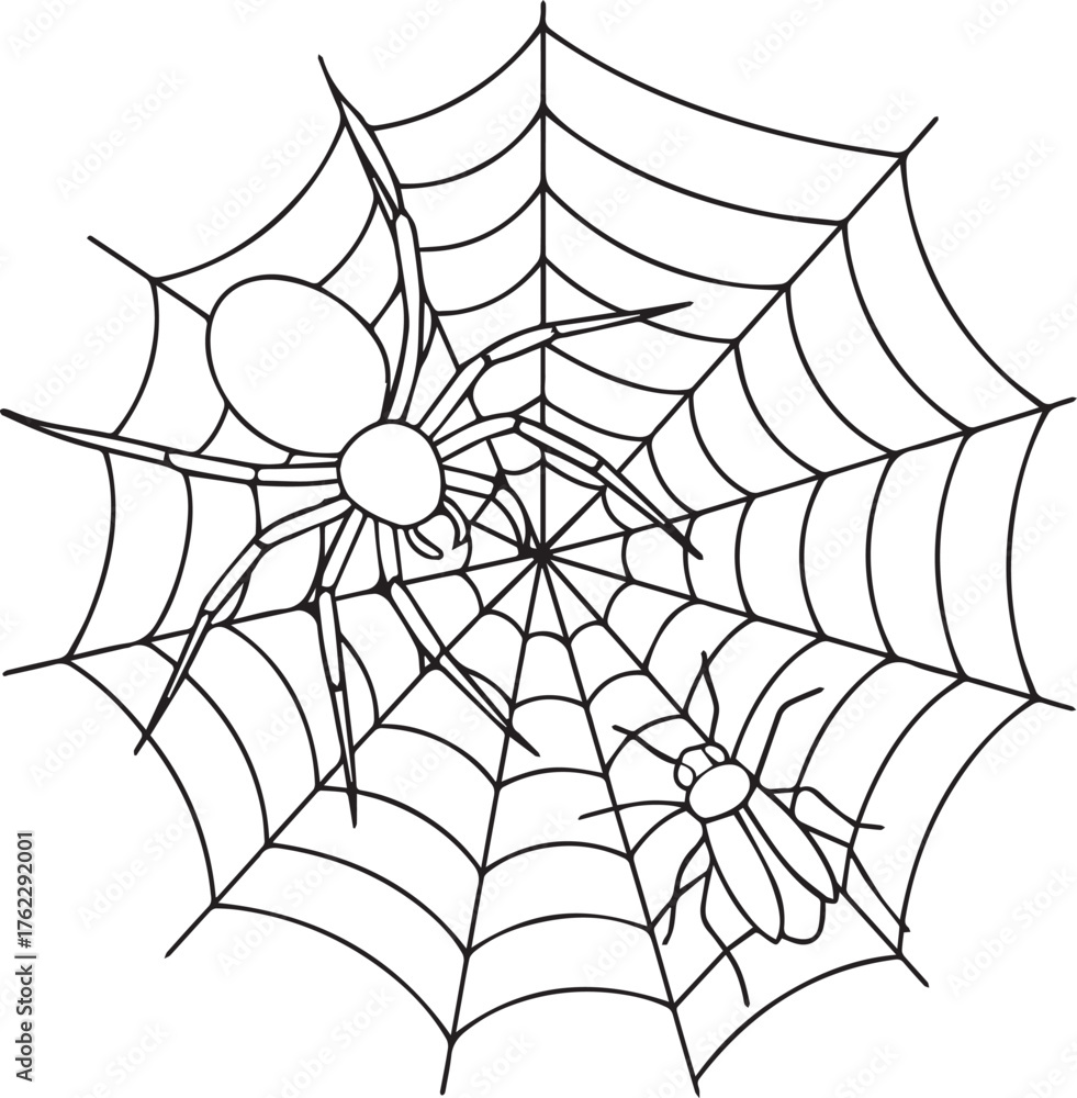 Fototapeta premium Adobe Illustrator Artwork of Spiders Web