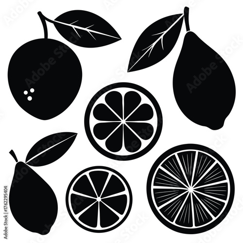 Adobe IllustratoCitrus Fruits and Leaves Silhouette Setr Artwork