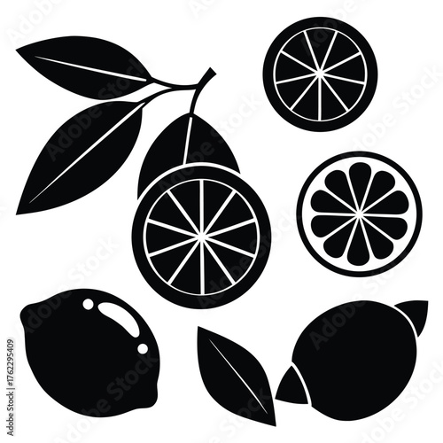 Adobe IllustratoCitrus Fruits and Leaves Silhouette Setr Artwork