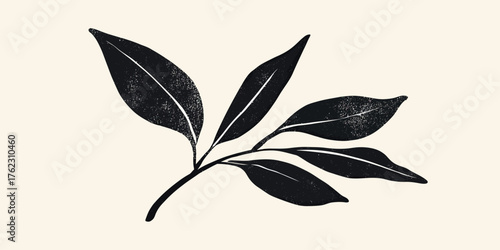 Black ink hand drawn branch with elongated leaves textured with crayon brush strokes minimalist botanical silhouette vector illustration on light background