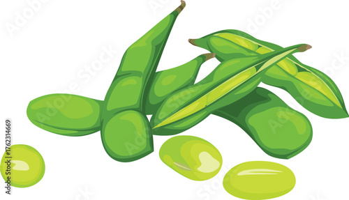 Illustration of fresh green edamame pods, some opened, with loose soybeans scattered around on a white background.