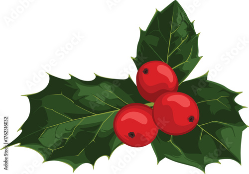 Illustration of a sprig of holly with three bright red berries and dark green, spiky leaves against a white background.