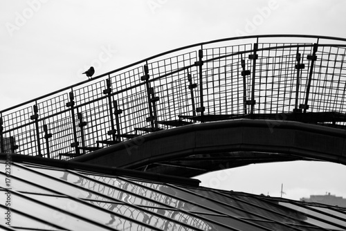 Black and white minimalist photograph of a single bird standing on a modern metal bridge. Geometric lines, architecture and solitude in the city.